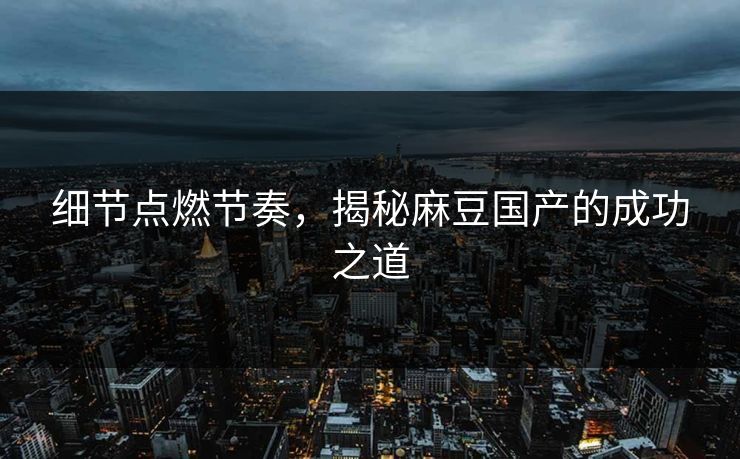 细节点燃节奏，揭秘麻豆国产的成功之道  第1张