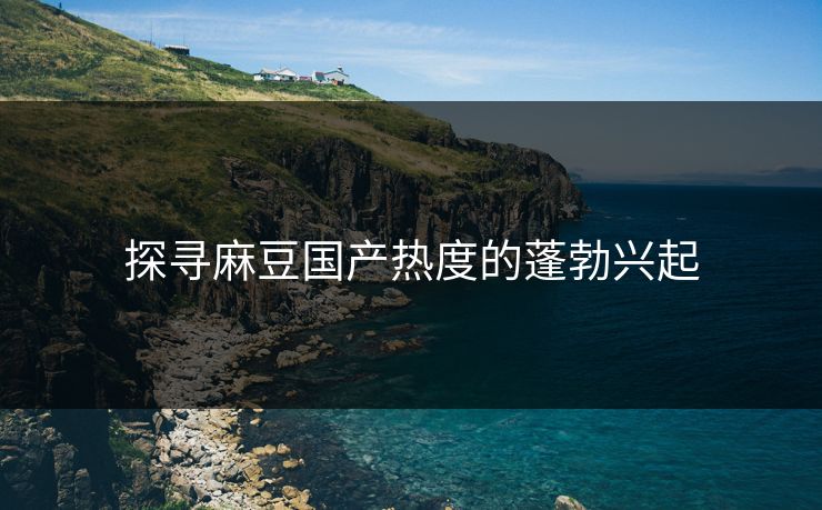 探寻麻豆国产热度的蓬勃兴起  第1张