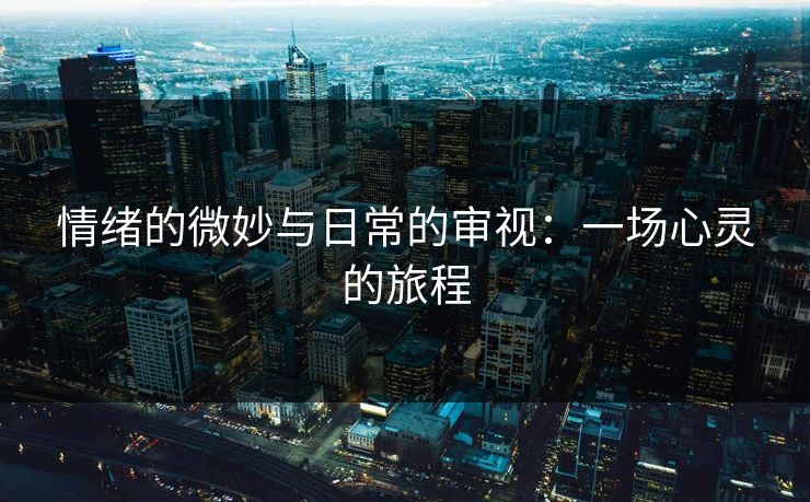 情绪的微妙与日常的审视：一场心灵的旅程  第1张